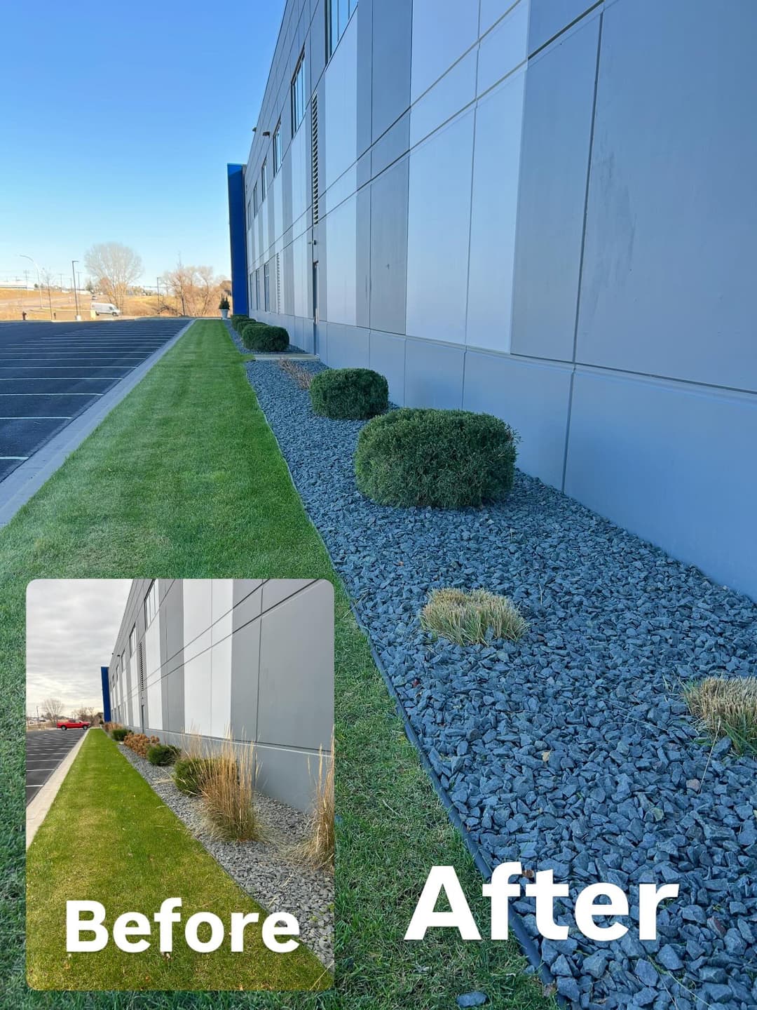 Before and after landscape transformation showing manicured grass and decorative stones.