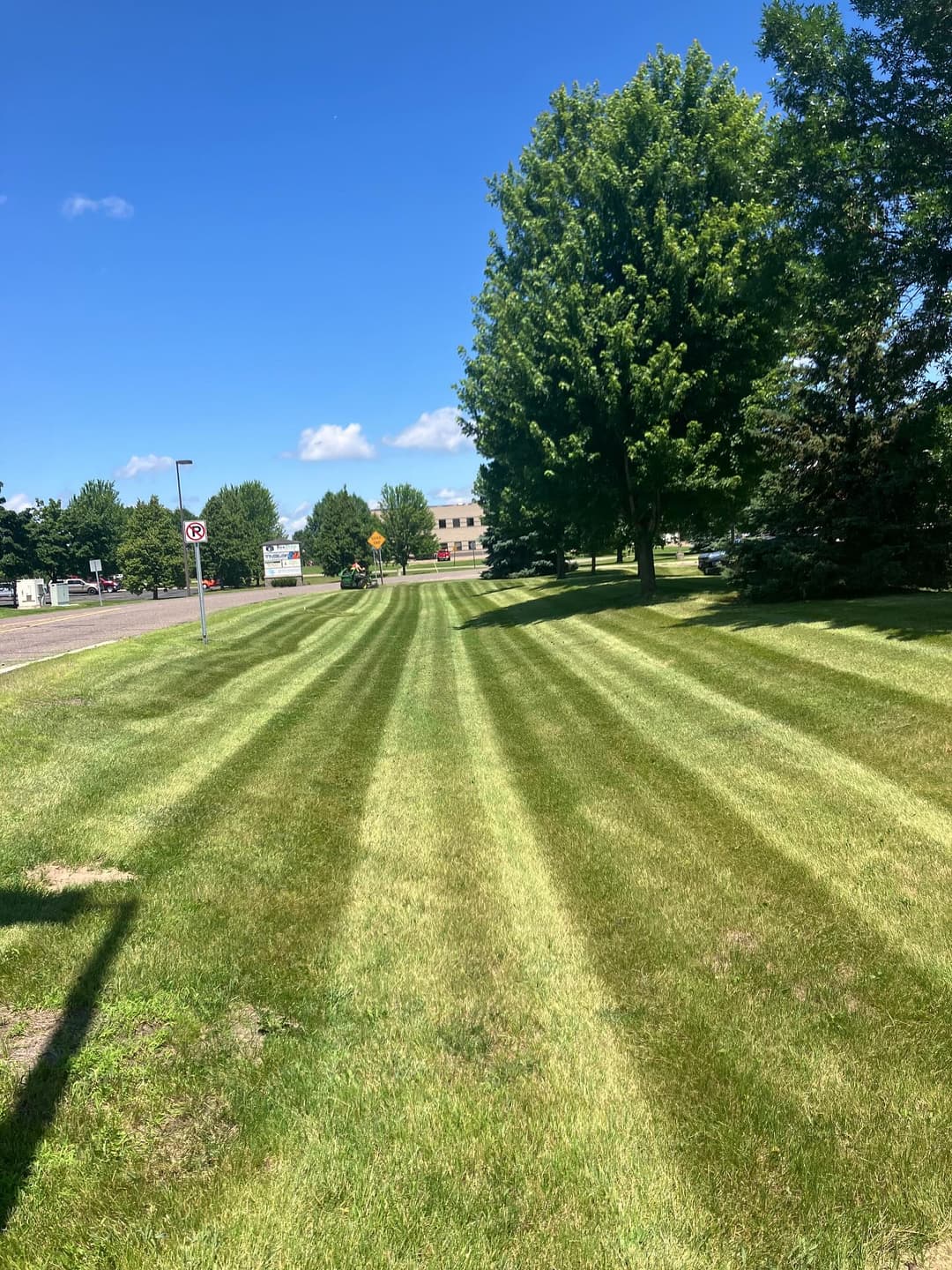 Well-maintained striped lawn with lush green grass, under a clear blue sky and trees.
