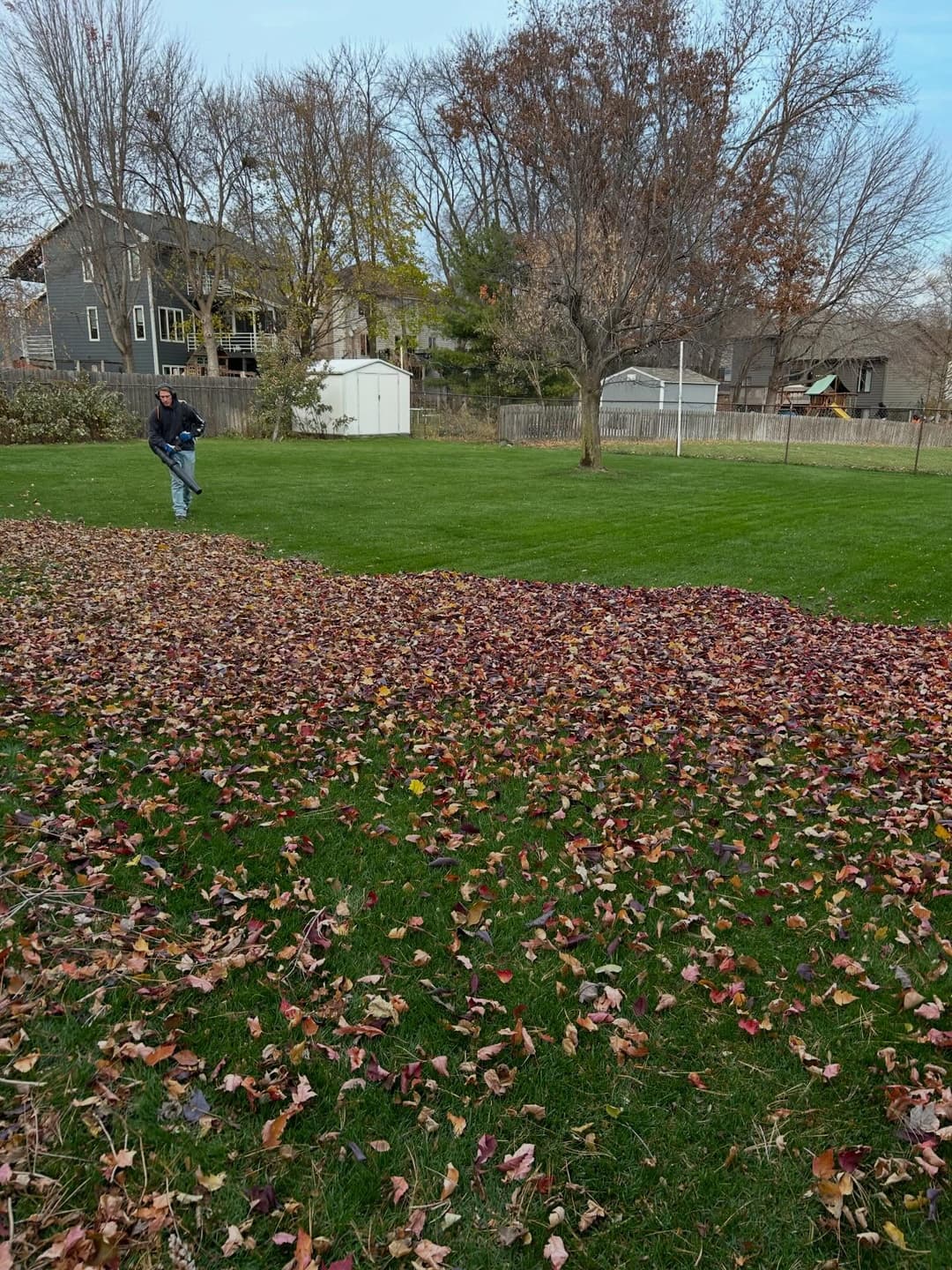 Man cleaning up a yard covered in colorful autumn leaves with houses in the background.