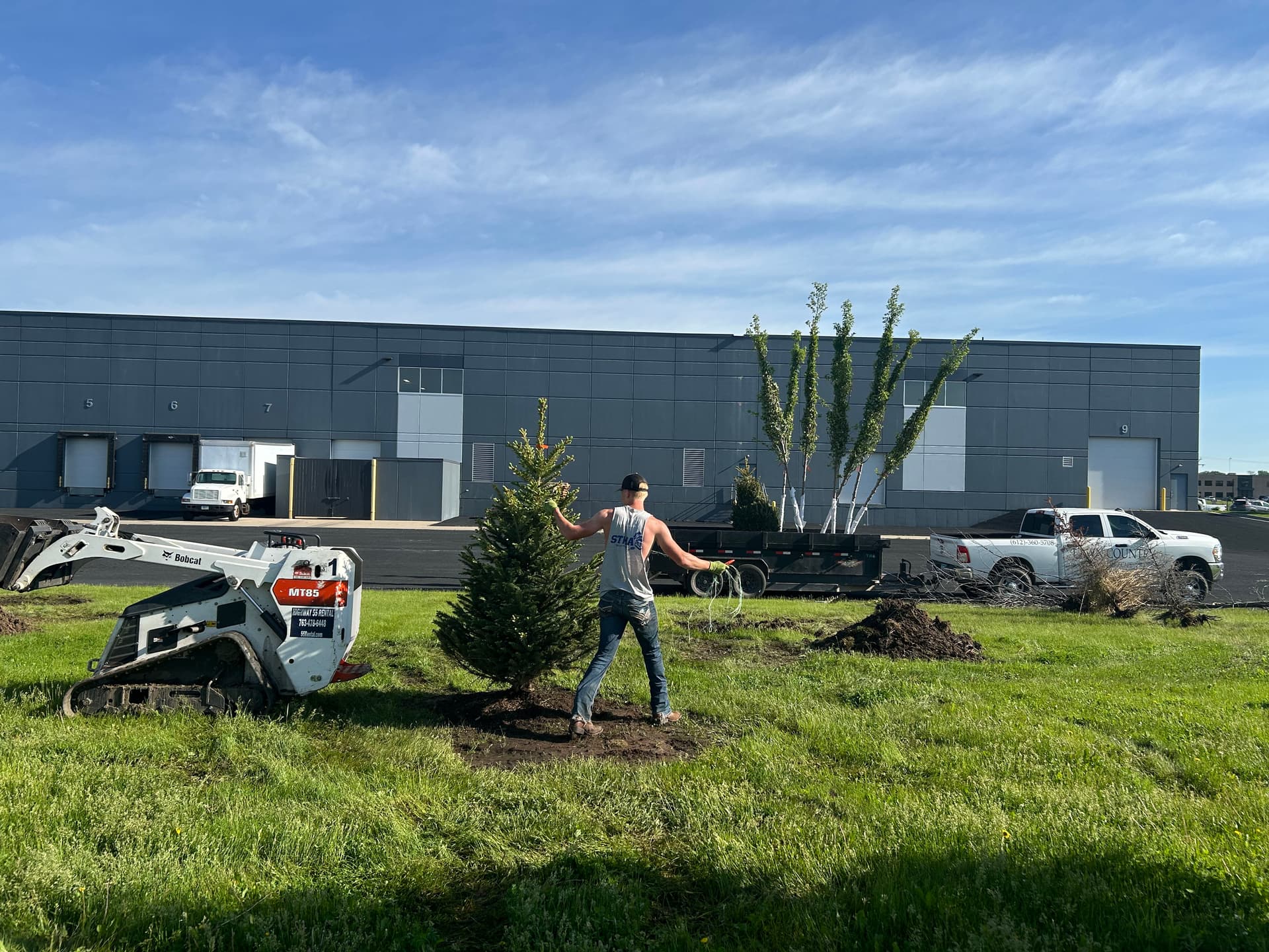 Gallery photos for 10 New Trees and Fresh Mulch Planted Across a Full Property: Image #3
