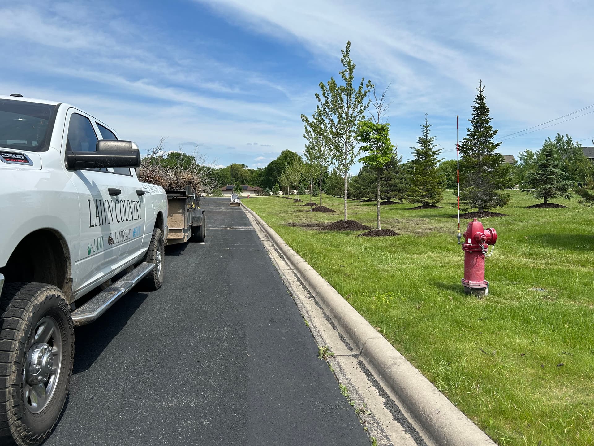 Gallery photos for 10 New Trees and Fresh Mulch Planted Across a Full Property: Image #4