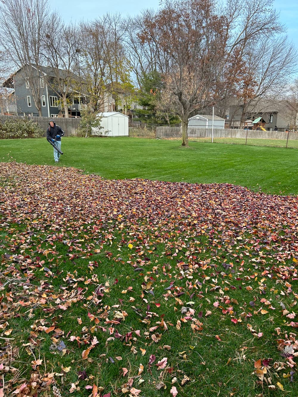 Spring/Fall Clean-ups image